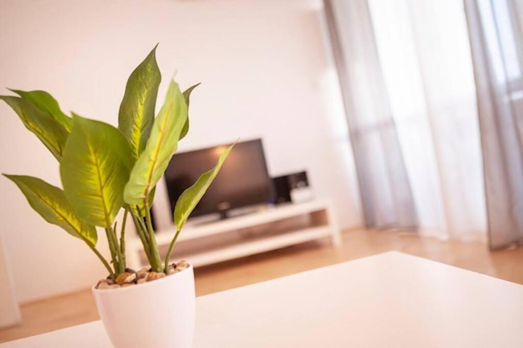 Sea City View W/ 2Bd 1Bt Free Street Parking ริเยกา ภายนอก รูปภาพ